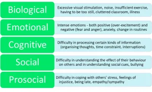 Self-regulation
Co-regulation
Infant Mental health