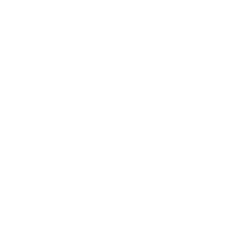 The International Baccalaureate (IB)